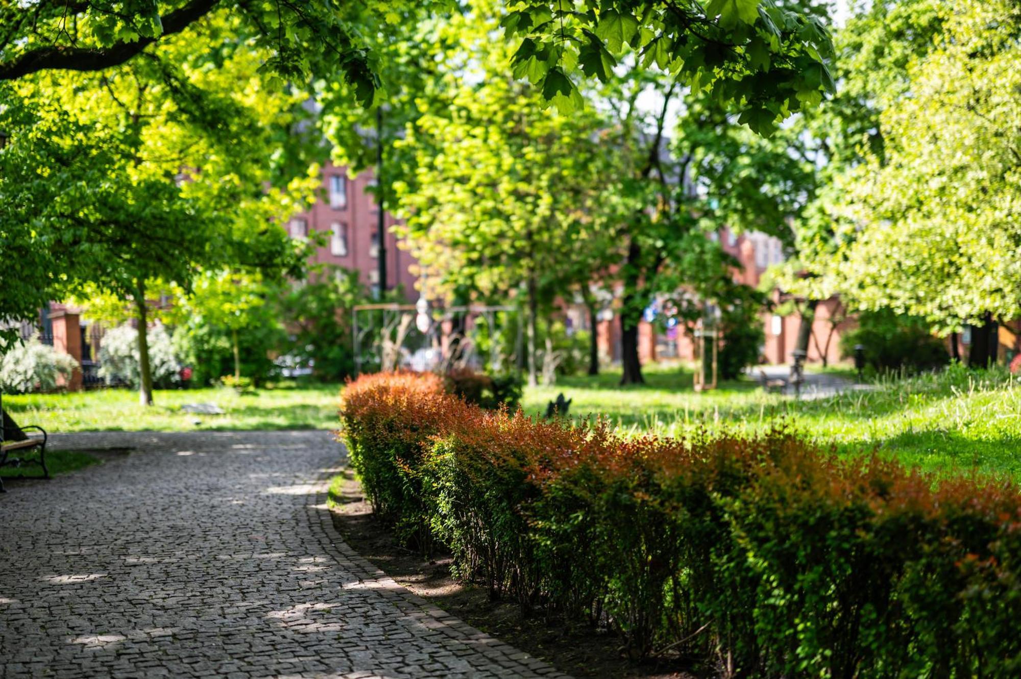 Wenecja Parking Gratis Moxy Te&Am Cracow Lägenhet Kraków Exteriör bild